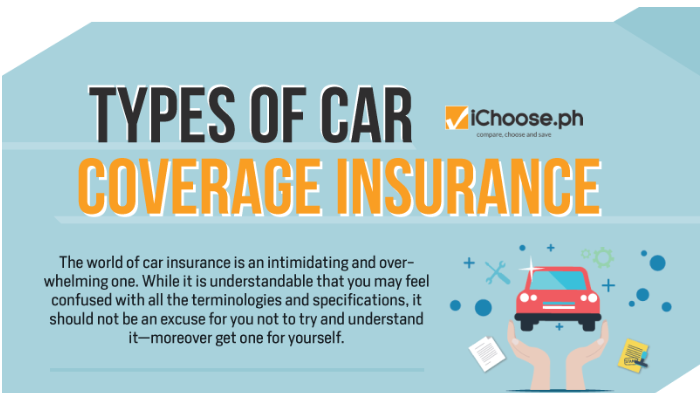 How much car insurance should I get?